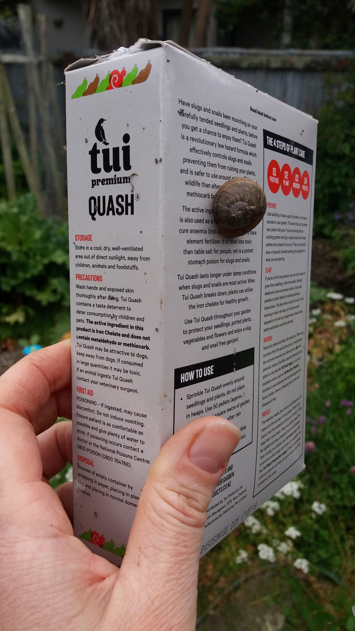 A garden snail sitting on a box of Quash snail bait